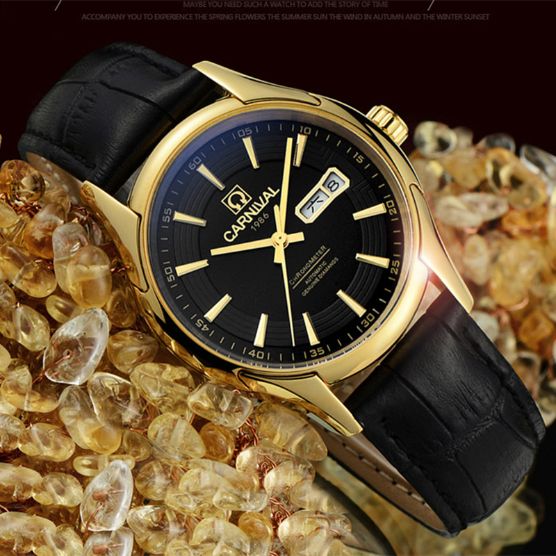 Carnival Brand Luxury Watches  - огляд і ціна Automatic Watch Winder