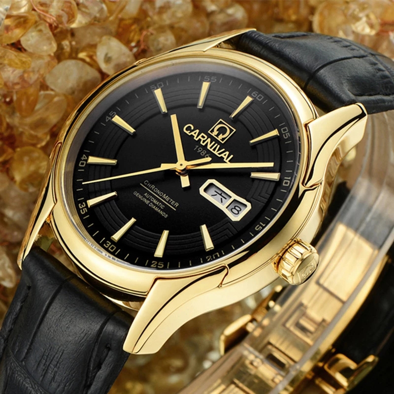 Carnival Brand Luxury Watches  - огляд і ціна Automatic Watch Winder