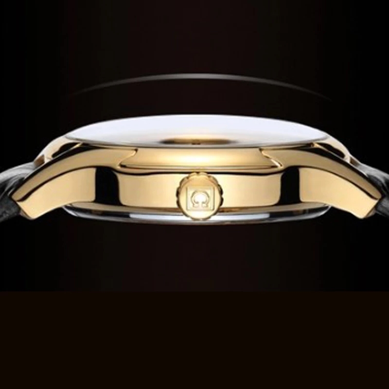 Carnival Brand Luxury Watches  - огляд і ціна Automatic Watch Winder